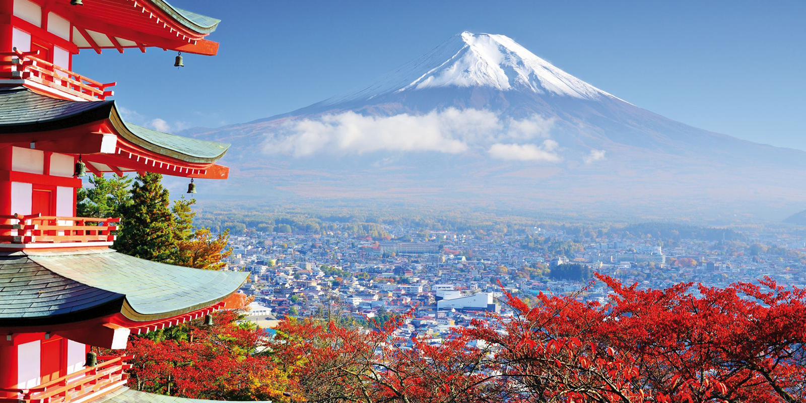 JAPÓN Y AUCKLAND 2019