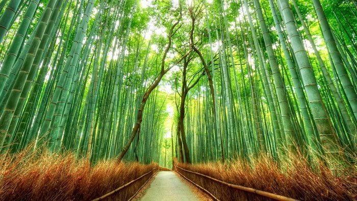 Kyoto